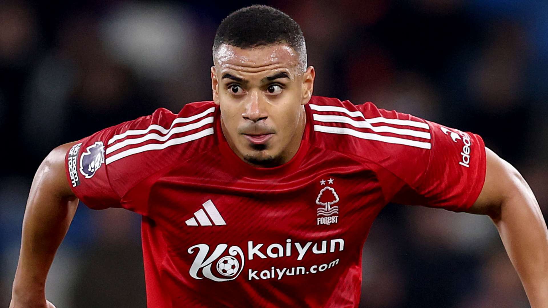 轮布莱顿主 轮布莱顿主